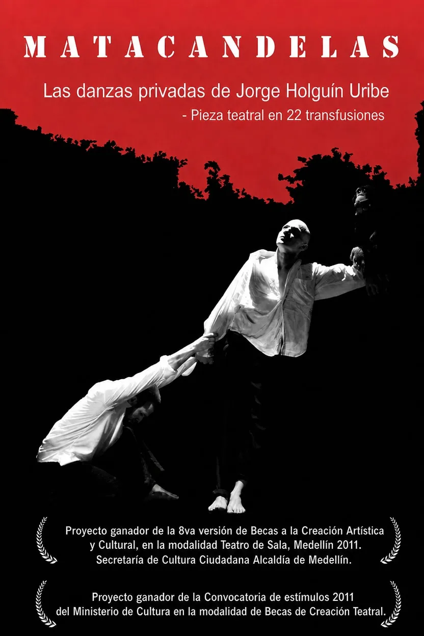 Afiche Las danzas privadas de Jorge Holguín Uribe