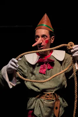 Foto 18 de Pinocho, Teatro Matacandelas
