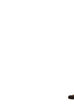 Memo Gif